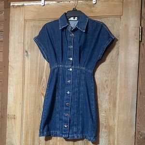 Zara Denim Button-Front Mini Dress